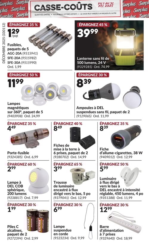 Circulaire Princess Auto - Casse-Coûts - Page 4