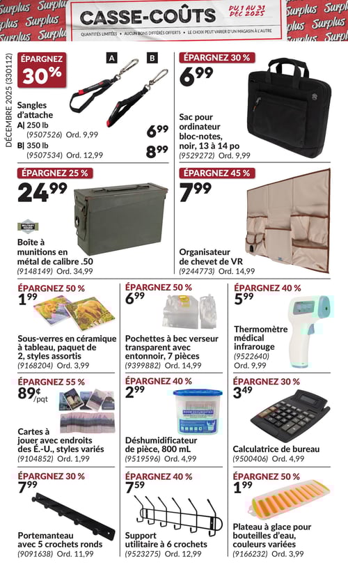 Circulaire Princess Auto - Casse-Coûts - Page 11