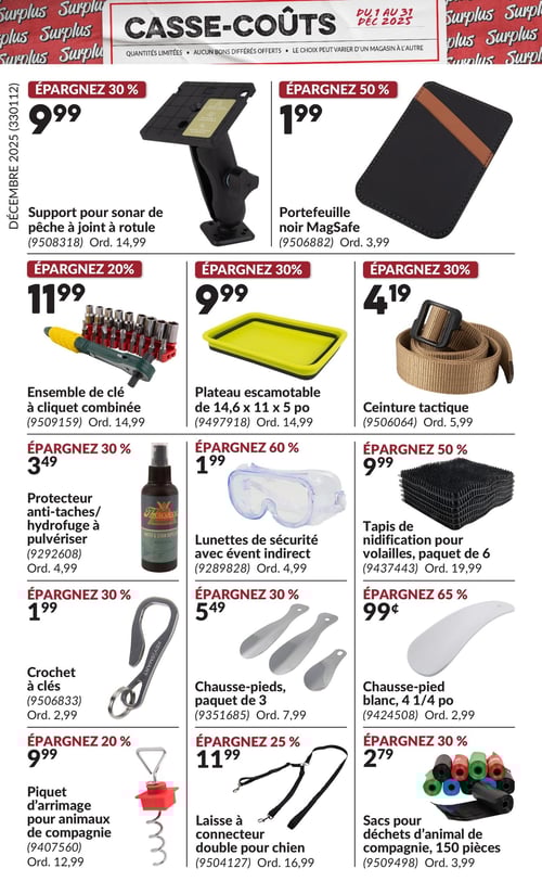 Circulaire Princess Auto - Casse-Coûts - Page 14