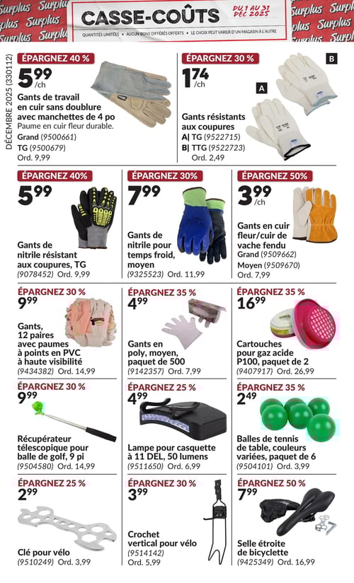 Circulaire Princess Auto - Casse-Coûts - Page 15