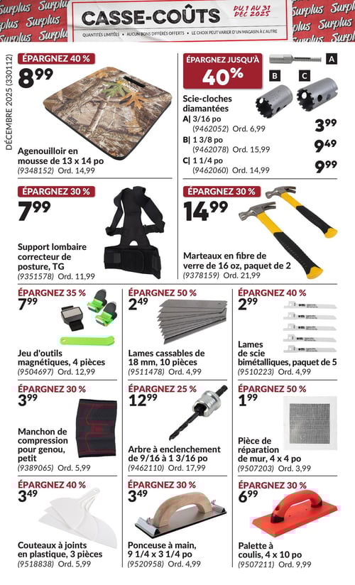 Circulaire Princess Auto - Casse-Coûts - Page 17