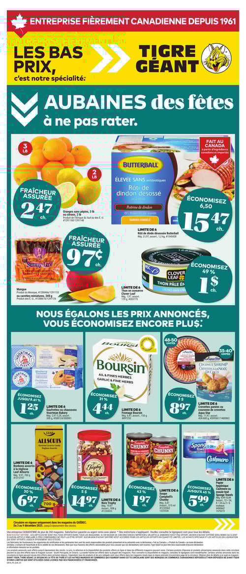 Circulaire Tigre Géant - Page 1