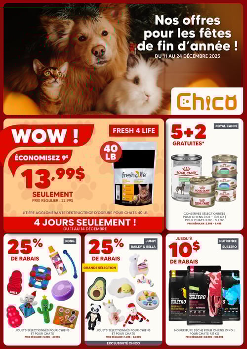 Circulaire Chico Boutique d'Animaux - Page 1