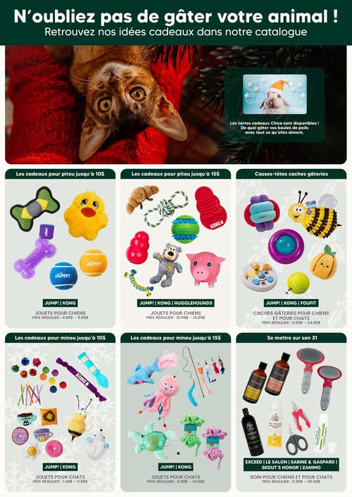 Circulaire Chico Boutique d'Animaux - Page 5