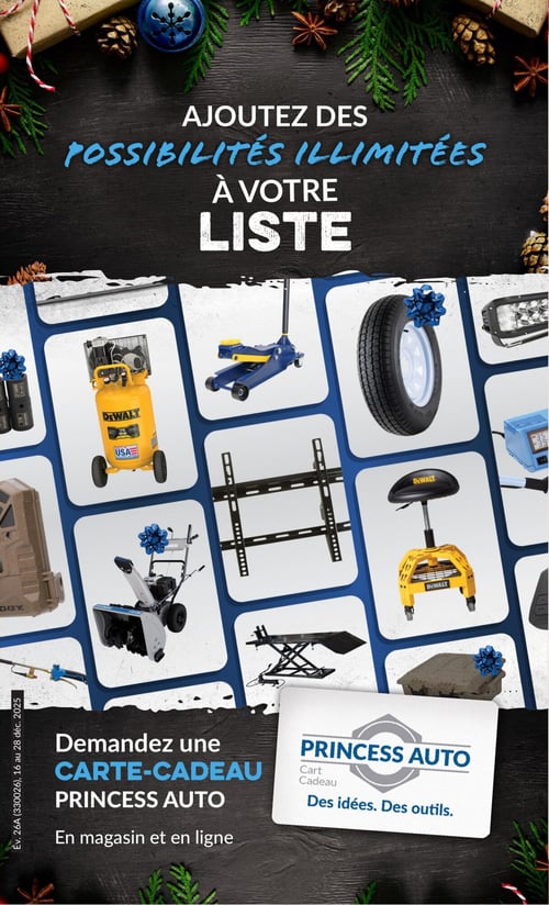 Circulaire Princess Auto - Page 32