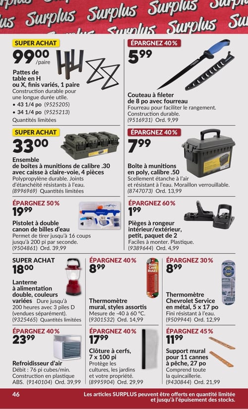 Circulaire Princess Auto - Page 51