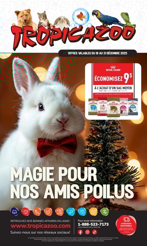 Circulaire Tropicazoo - Page 1