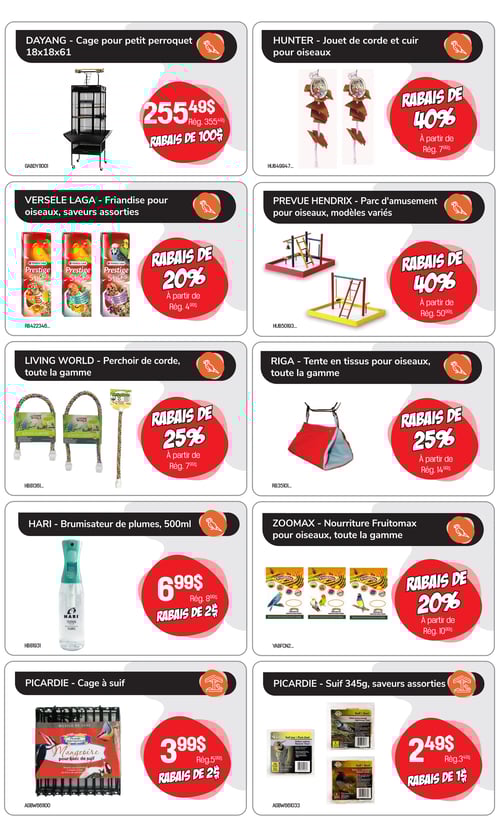 Circulaire Tropicazoo - Page 6