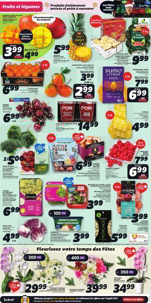 Circulaire IGA - Page 3