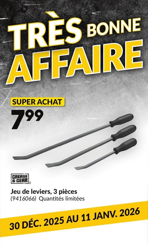 Circulaire Princess Auto - Page 4