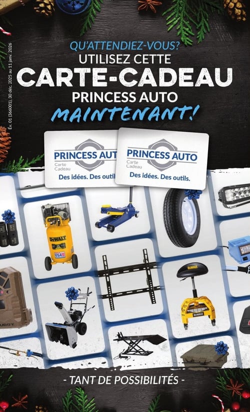 Circulaire Princess Auto - Page 12