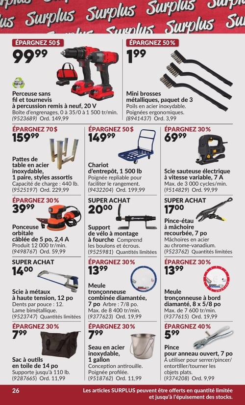 Circulaire Princess Auto - Page 31