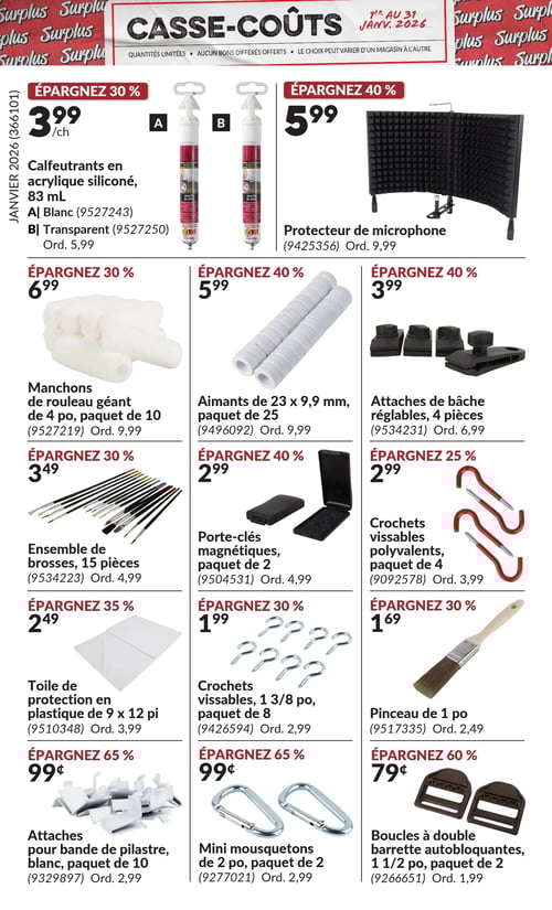Circulaire Princess Auto - Casse-Coûts - Page 8