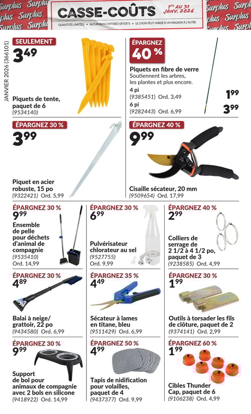 Circulaire Princess Auto - Casse-Coûts - Page 11