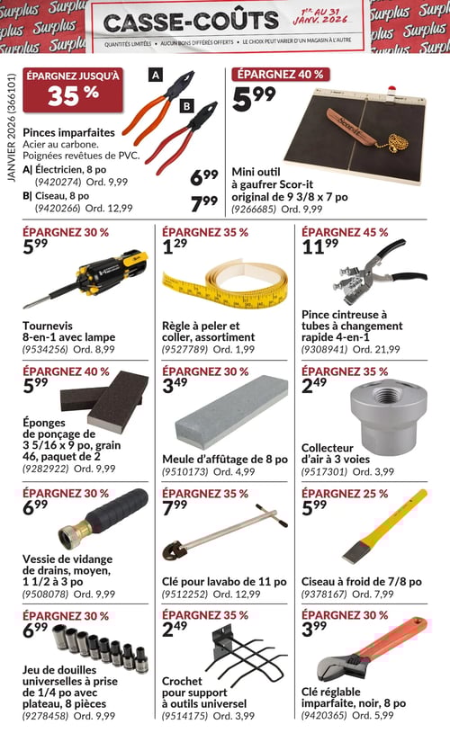 Circulaire Princess Auto - Casse-Coûts - Page 15
