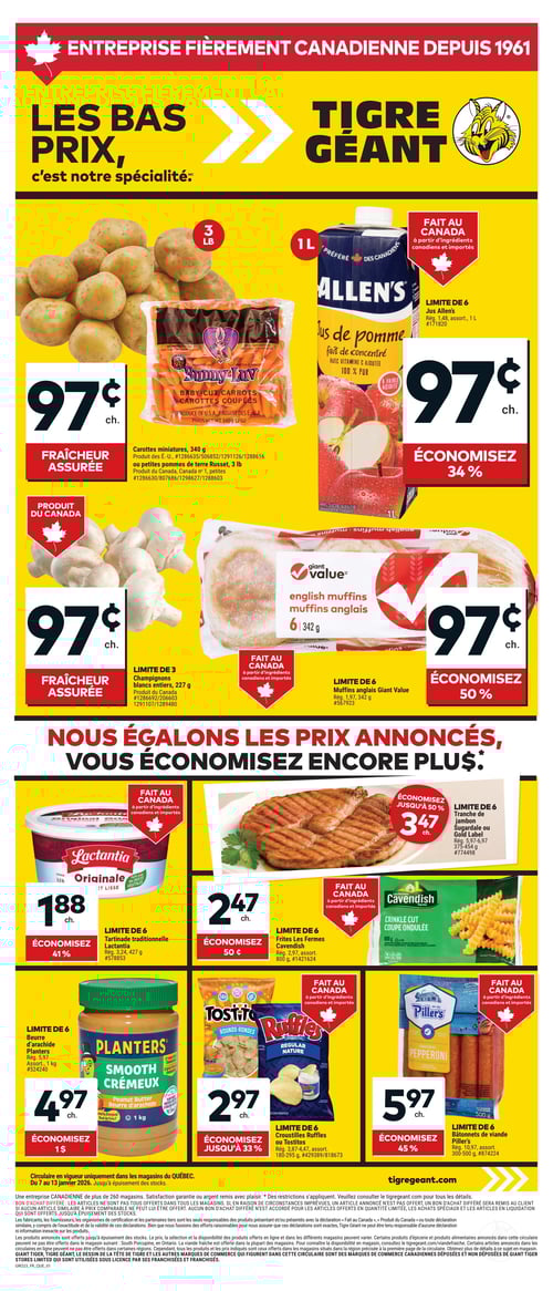 Circulaire Tigre Géant - Page 1