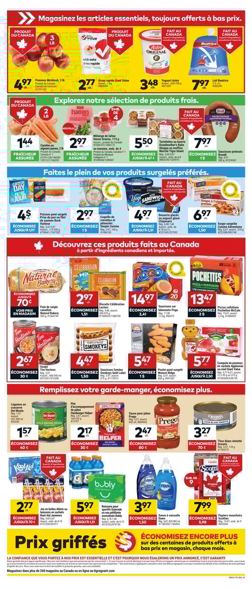 Circulaire Tigre Géant - Page 2