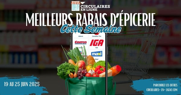Photo de l'Article